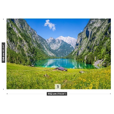 Tapetas Obersee Königssee