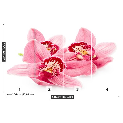 Fototapetas Rožinė orchidėja