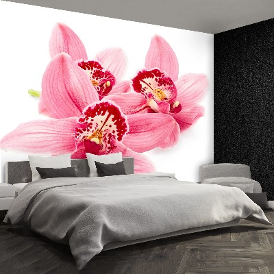 Fototapetas Rožinė orchidėja
