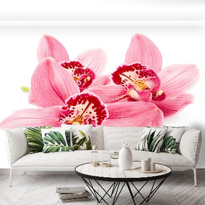 Fototapetas Rožinė orchidėja