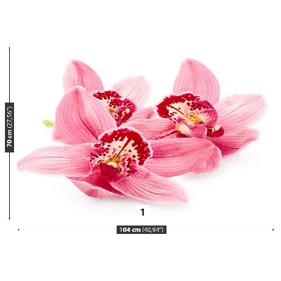 Fototapetas Rožinė orchidėja