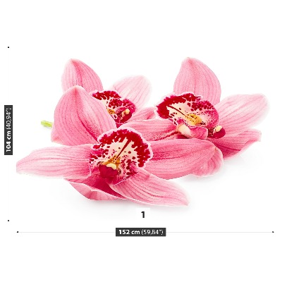 Fototapetas Rožinė orchidėja