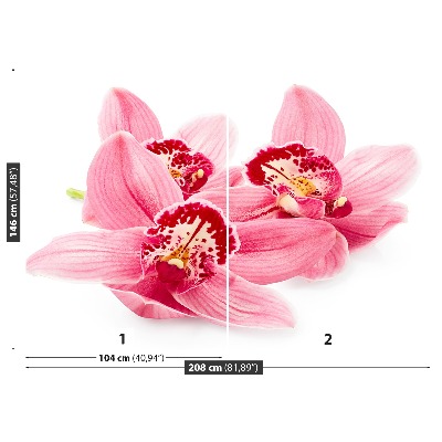 Fototapetas Rožinė orchidėja