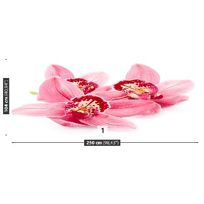 Fototapetas Rožinė orchidėja