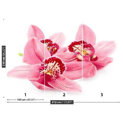Fototapetas Rožinė orchidėja