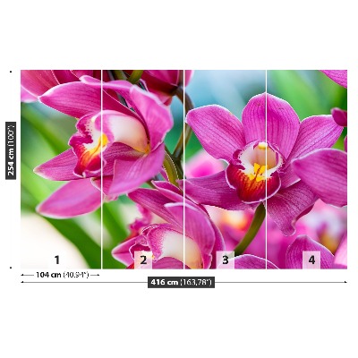 Fototapetas Rožinės orchidėjos