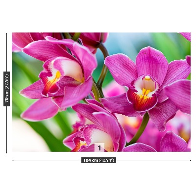 Fototapetas Rožinės orchidėjos