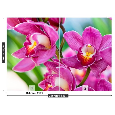 Fototapetas Rožinės orchidėjos