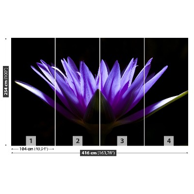 Fototapetas Violetinis lotosas
