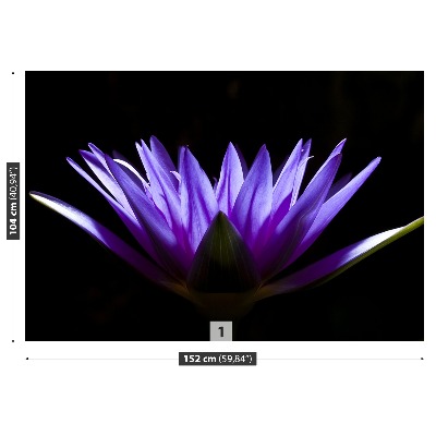 Fototapetas Violetinis lotosas