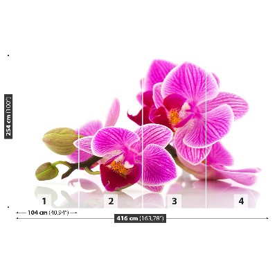 Tapetas Orchidėjų gėlės