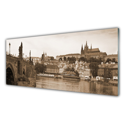 Paveikslas ant akrilinio stiklo Prahos tilto peizažas