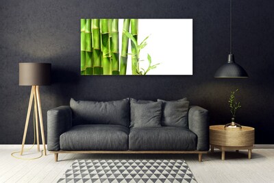 Paveikslas ant akrilinio stiklo Bambuko augalas