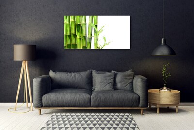 Paveikslas ant akrilinio stiklo Bambuko augalas