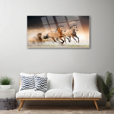 Akriliniai paveikslas Arkliai Gyvūnai