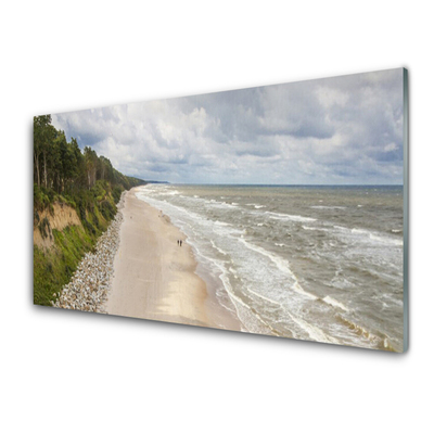 Akrilo stiklo paveikslas Paplūdimys Jūros medžio gamta