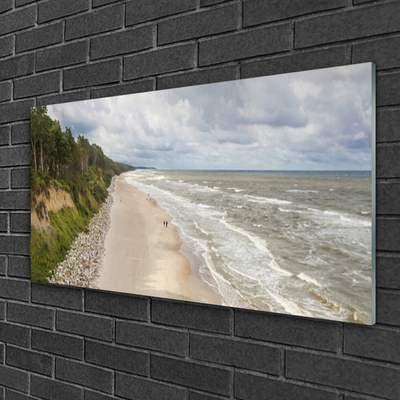 Akrilo stiklo paveikslas Paplūdimys Jūros medžio gamta