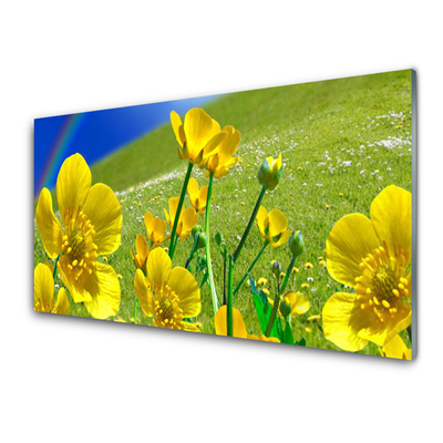 Akrilo stiklo paveikslas Pievos gėlės Vaivorykštės gamta