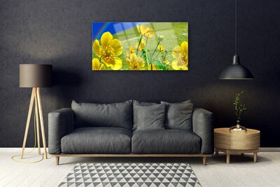 Akrilo stiklo paveikslas Pievos gėlės Vaivorykštės gamta