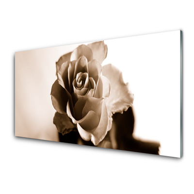 Akrilo stiklo paveikslas Rožių gėlių augalas