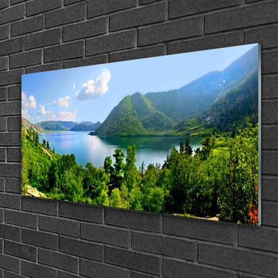 Akriliniai paveikslas Miško ežero kalnų peizažas