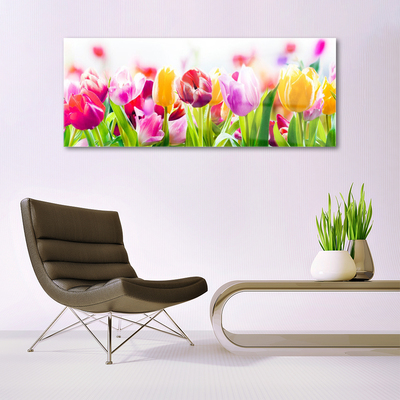 Akriliniai paveikslas Tulpės Gėlės
