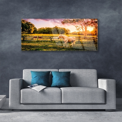 Akrilo stiklo paveikslas Arklių pievų gyvūnai gamta
