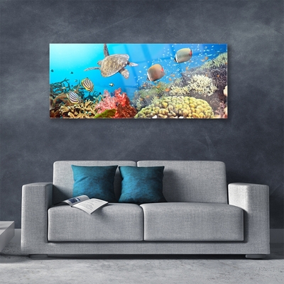 Akrilo stiklo paveikslas Koralinio rifo peizažas