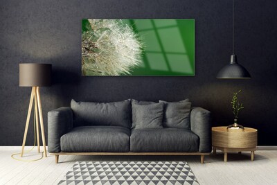 Akrilo stiklo paveikslas Kiaulpienių augalas