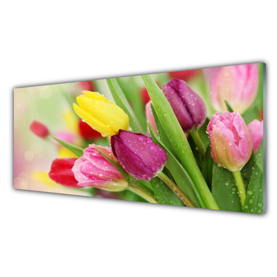 Paveikslas ant akrilinio stiklo Tulpių gėlių augalas