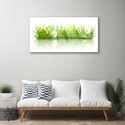 Akrilo stiklo paveikslas Žolės gamtos augalas