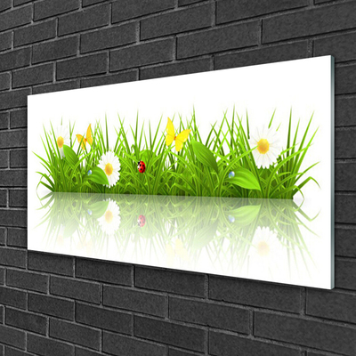 Akrilo stiklo paveikslas Žolės gamtos augalas