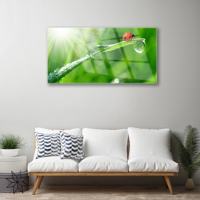 Akriliniai paveikslas Ladybug Nature Grass