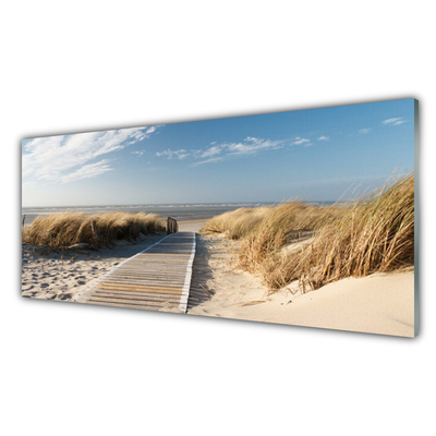 Akriliniai paveikslas Paplūdimio tako peizažas