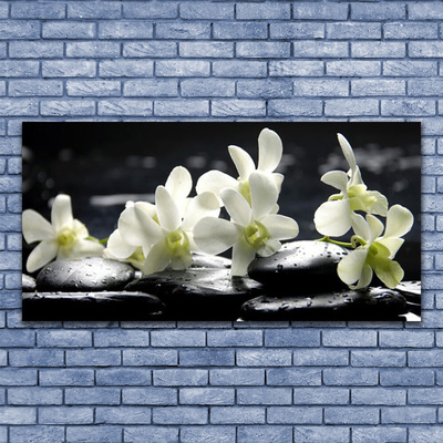 Akrilo stiklo paveikslas Gėlių akmenų augalas