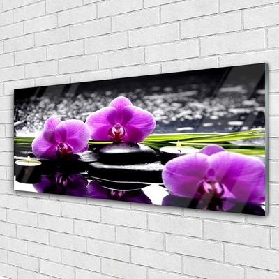 Akriliniai paveikslas Gėlių orchidėjų augalas