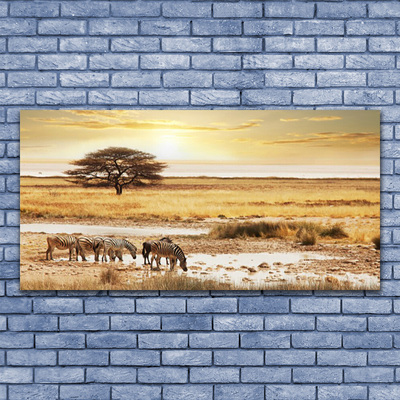 Paveikslas ant akrilinio stiklo Zebra Safari peizažas