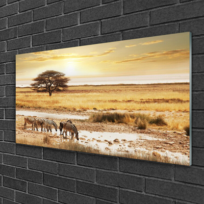 Paveikslas ant akrilinio stiklo Zebra Safari peizažas