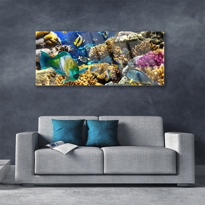Akrilo stiklo paveikslas Koralinio rifo gamta