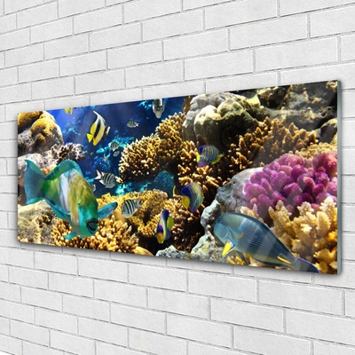 Akrilo stiklo paveikslas Koralinio rifo gamta