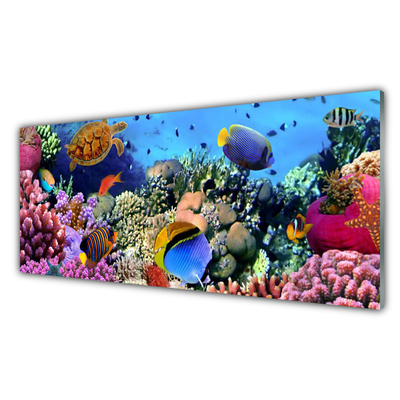Akriliniai paveikslas Koralinio rifo gamta