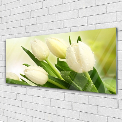 Akrilo stiklo paveikslas Tulpių gėlių augalas