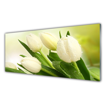 Akrilo stiklo paveikslas Tulpių gėlių augalas