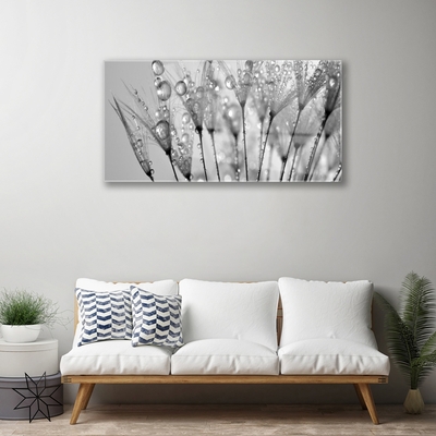 Akriliniai paveikslas Kiaulpienių augalas