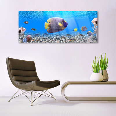Akrilo stiklo paveikslas Žuvies gamta
