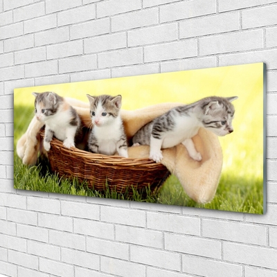 Akrilo stiklo paveikslas Katės Gyvūnai