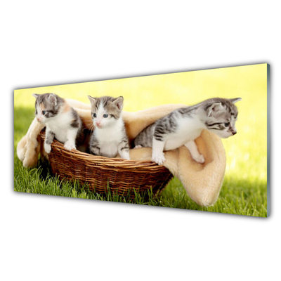 Akrilo stiklo paveikslas Katės Gyvūnai
