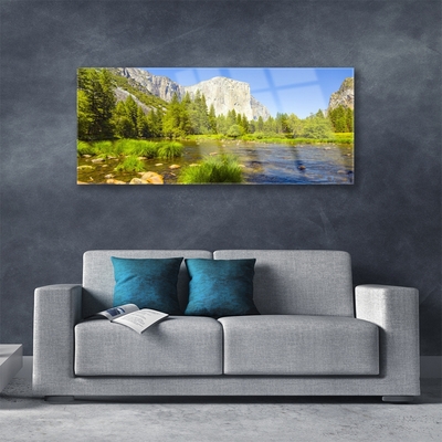 Akrilo stiklo paveikslas Ežero kalnų miško gamta