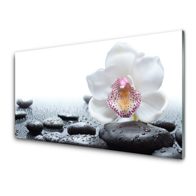 Paveikslas ant akrilinio stiklo Gėlių orchidėjų menas