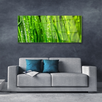 Akrilo stiklo paveikslas Žolinių augalų gamta